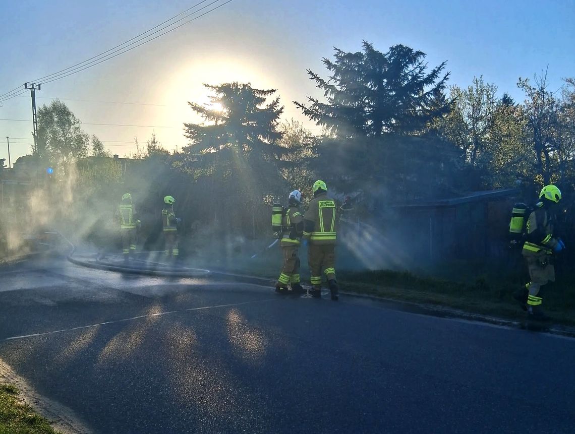 Ogień na działkach w Garwolinie. Strażacy szybko ugasili pożar