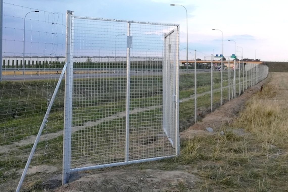 Ogradzają obwodnicę. Dla bezpieczeństwa