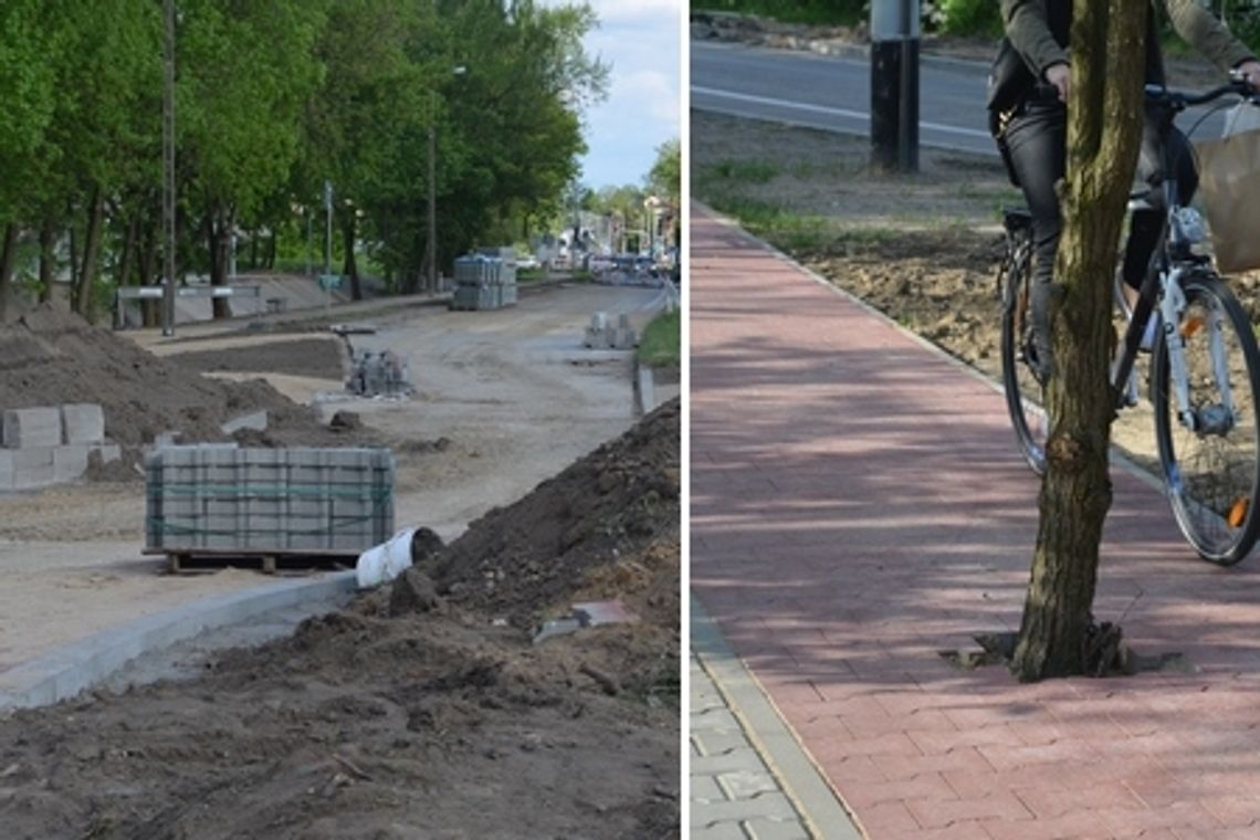 Opóźnione rondo z drzewem na ścieżce rowerowej