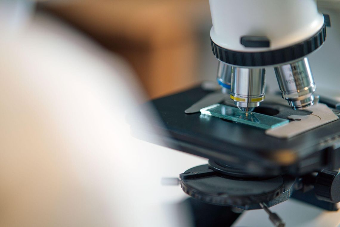 Peptydy, bioaktywne cząsteczki i nauka online. Dlaczego edukacja laboratoryjna staje się coraz bardziej dostępna Peptydy, bioaktywne cząsteczki i nauka online. Dlaczego edukacja laboratoryjna staje się coraz bardziej dostępna