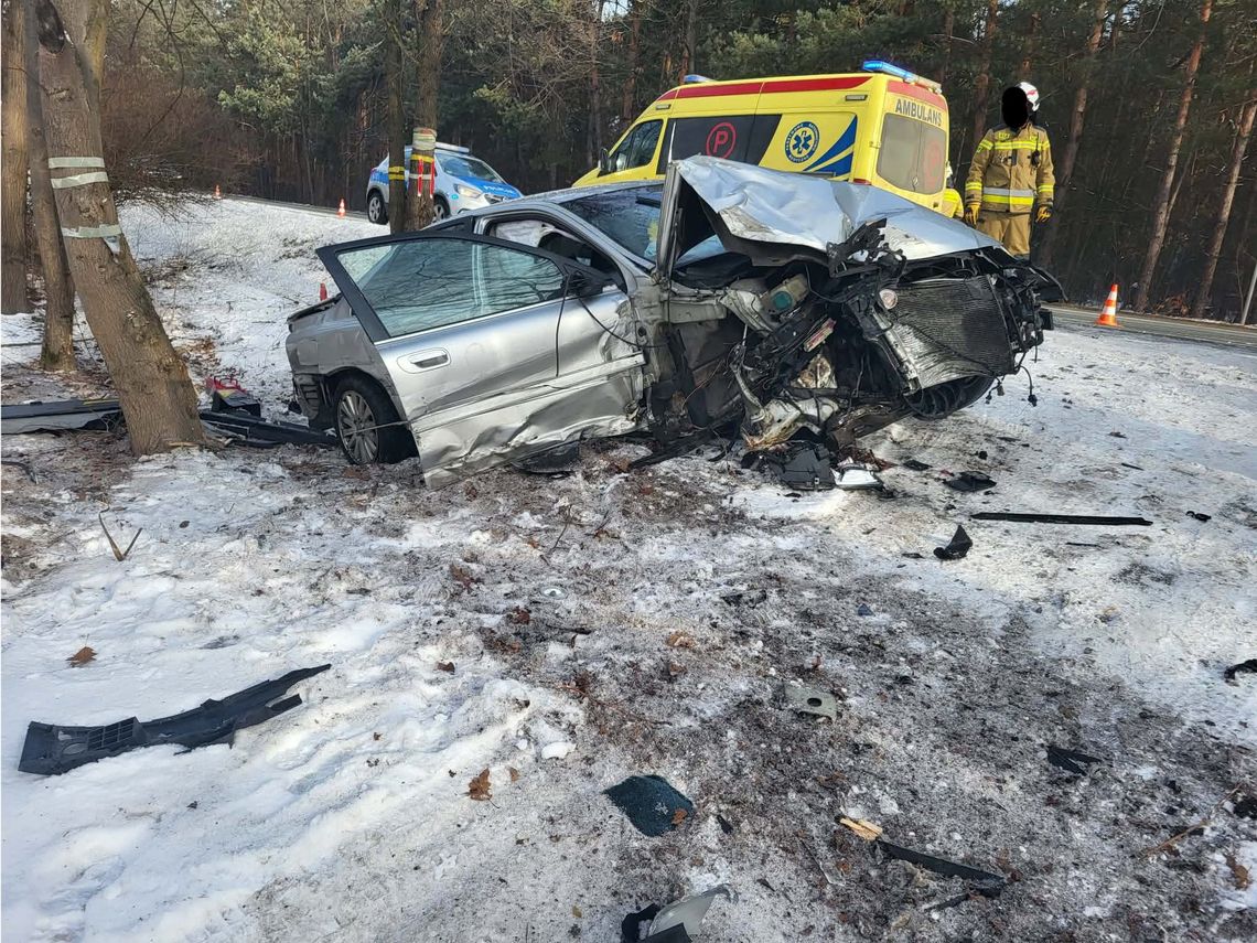 Pijany 20-latek rozbił volvo na DW 801 w Wildze. Miał blisko dwa promile