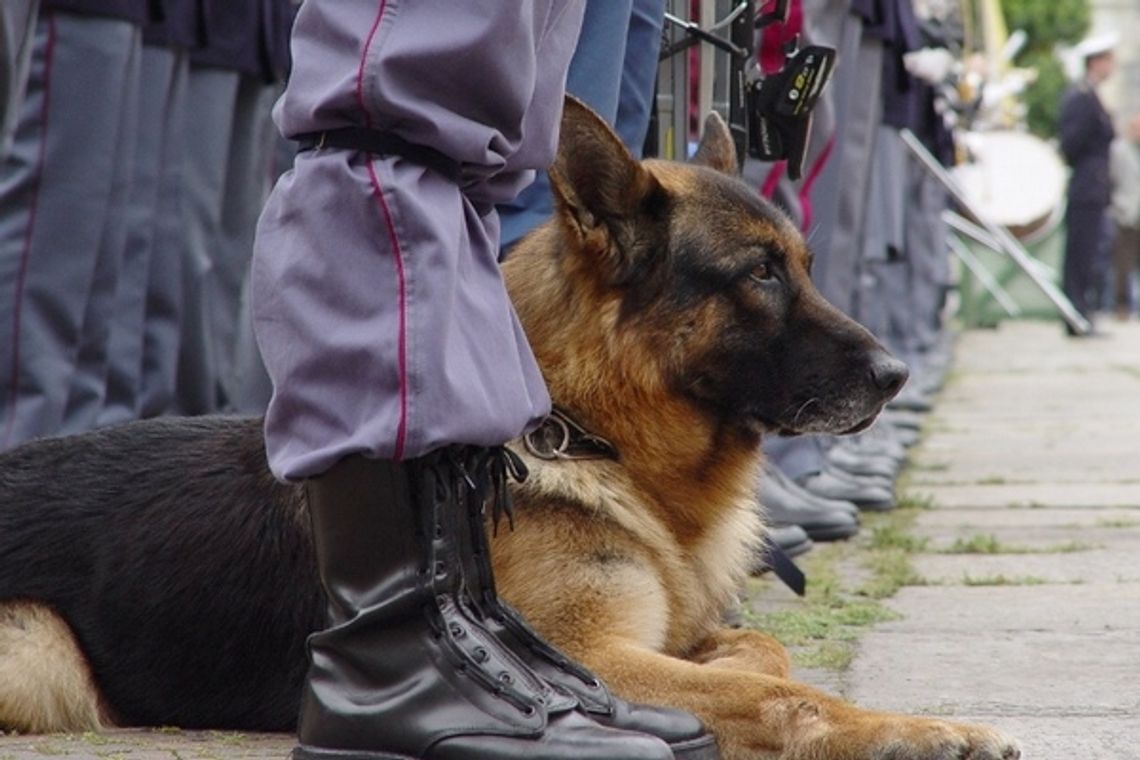 Policja szuka dwóch nastolatek [aktualizacja]