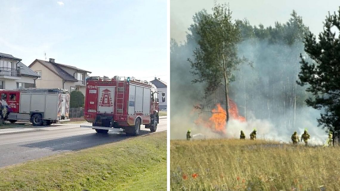 Poranny pożar w gminie Górzno. Płonęły trawy w pobliżu domów Poranny pożar w gminie Górzno. Płonęły trawy w pobliżu domów