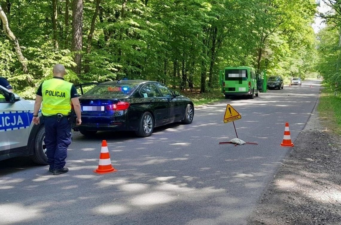 Potrącenie pieszego w gm. Żelechów