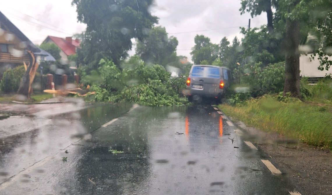 Powalone drzewa i uszkodzone auto – wichura przeszła przez powiat Powalone drzewa i uszkodzone auto – wichura przeszła przez powiat