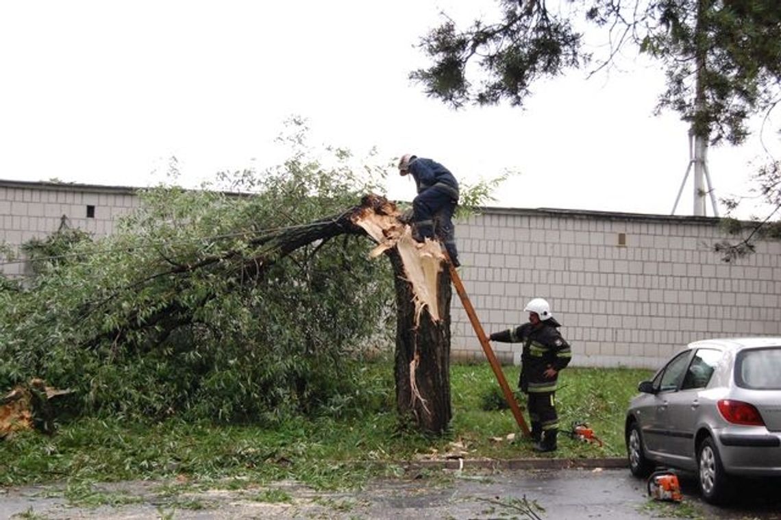 Powalone drzewa, zerwane trakcje i dachy