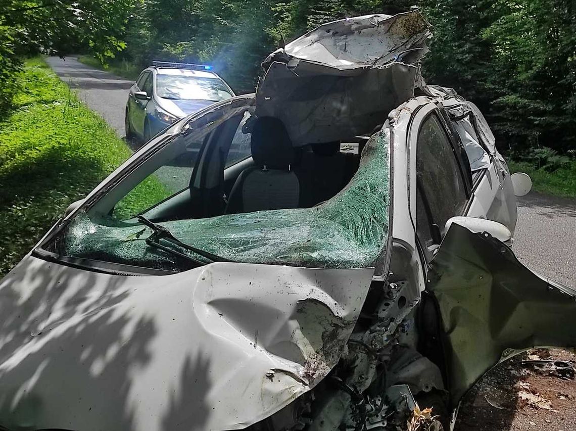 Poważne skutki zderzenia z łosiem