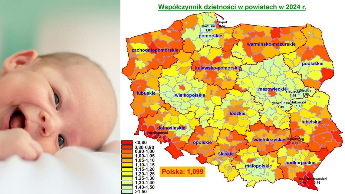 Powiat garwoliński w czołówce dzietności w Polsce. Trzecie miejsce w kraju! Powiat garwoliński w czołówce dzietności w Polsce. Trzecie miejsce w kraju!