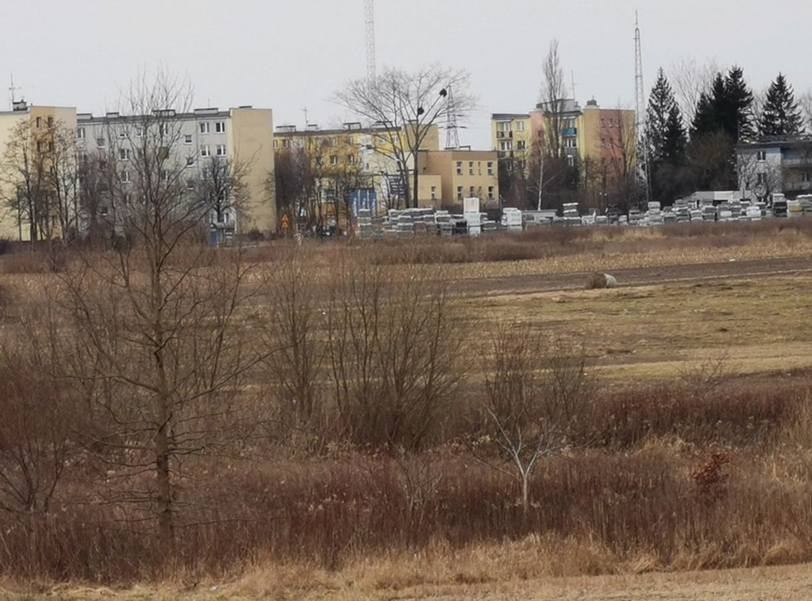 Pożar belek z sianem. To efekt podpalenia?