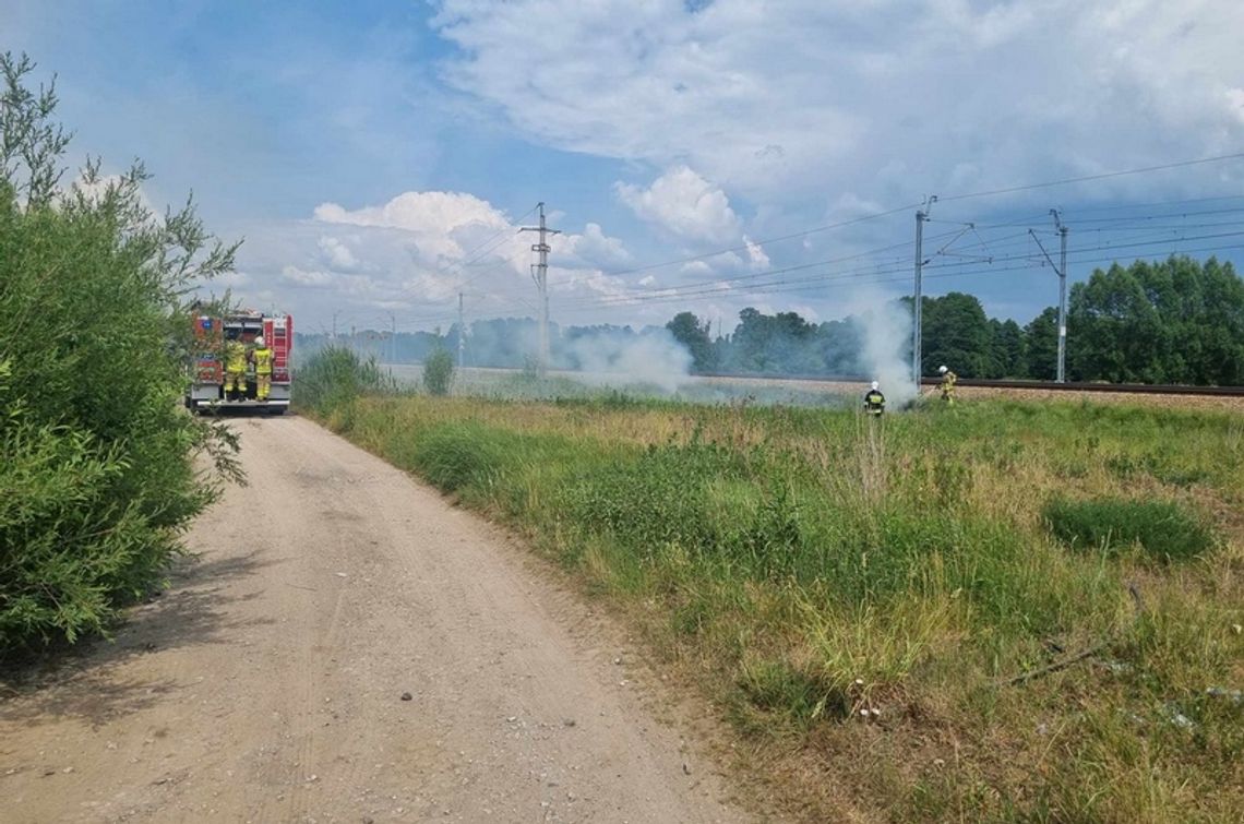 Pożar przy torach na odcinku 12 km [wideo]