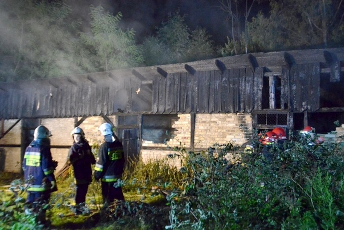 Pożar pustostanu w Pilawie [wideo]