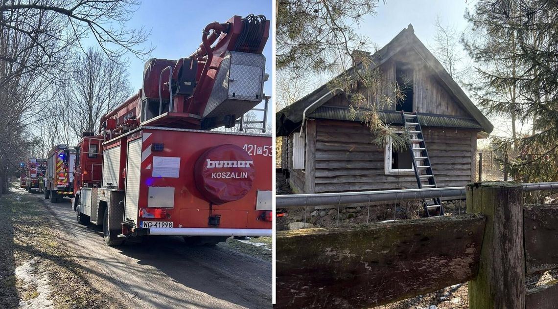 Pożar w Wygodzie. Ewakuowano 26 psów