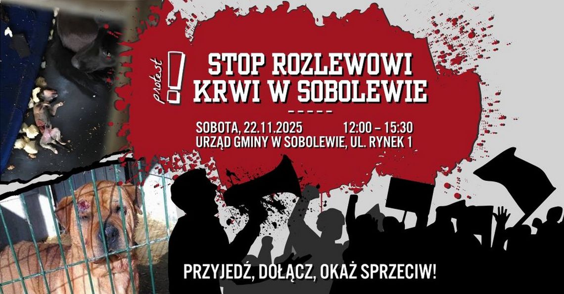 Protest w obronie zwierząt ze schroniska „Happy Dog” w Sobolewie