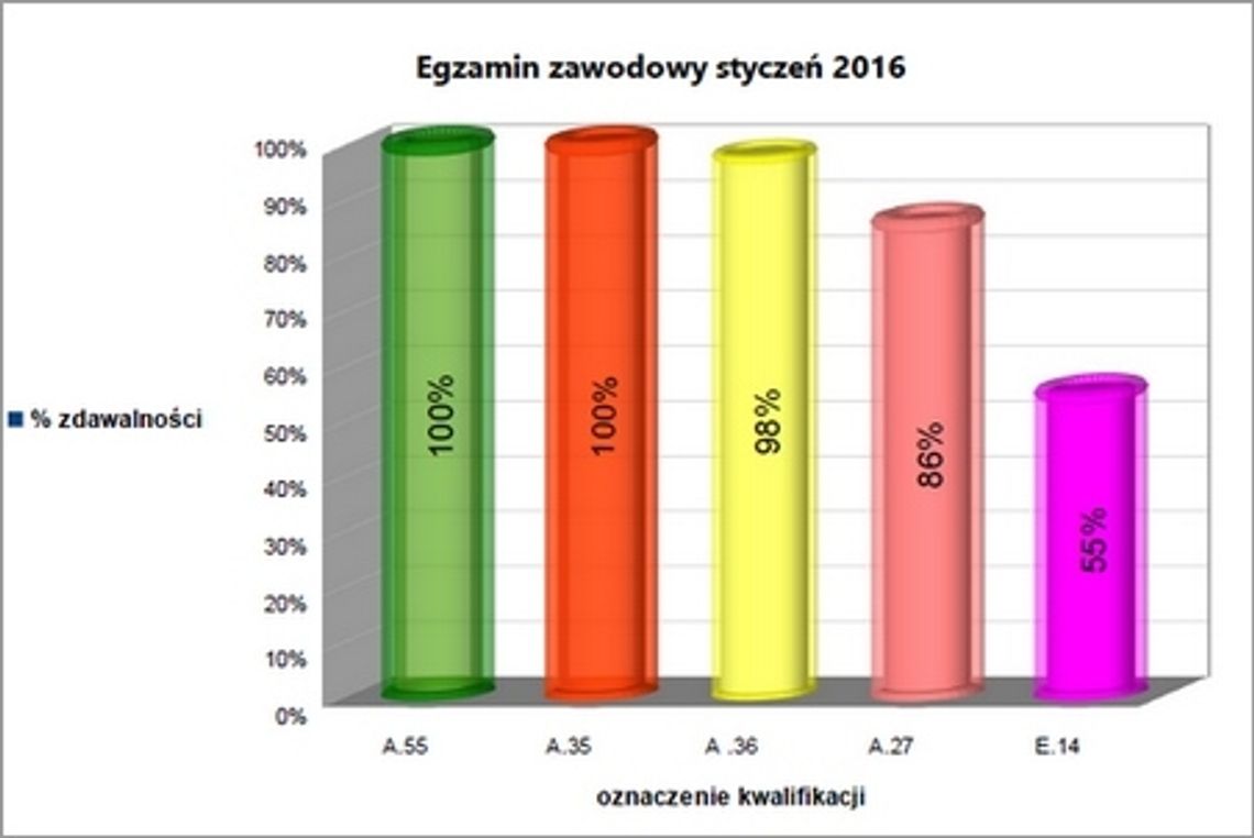 Rewelacyjne wyniki egzaminu z kwalifikacji zawodowych w Ekonomiku