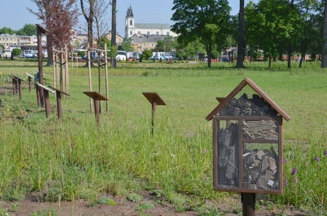 Rośnie konkurencja Zarzecza