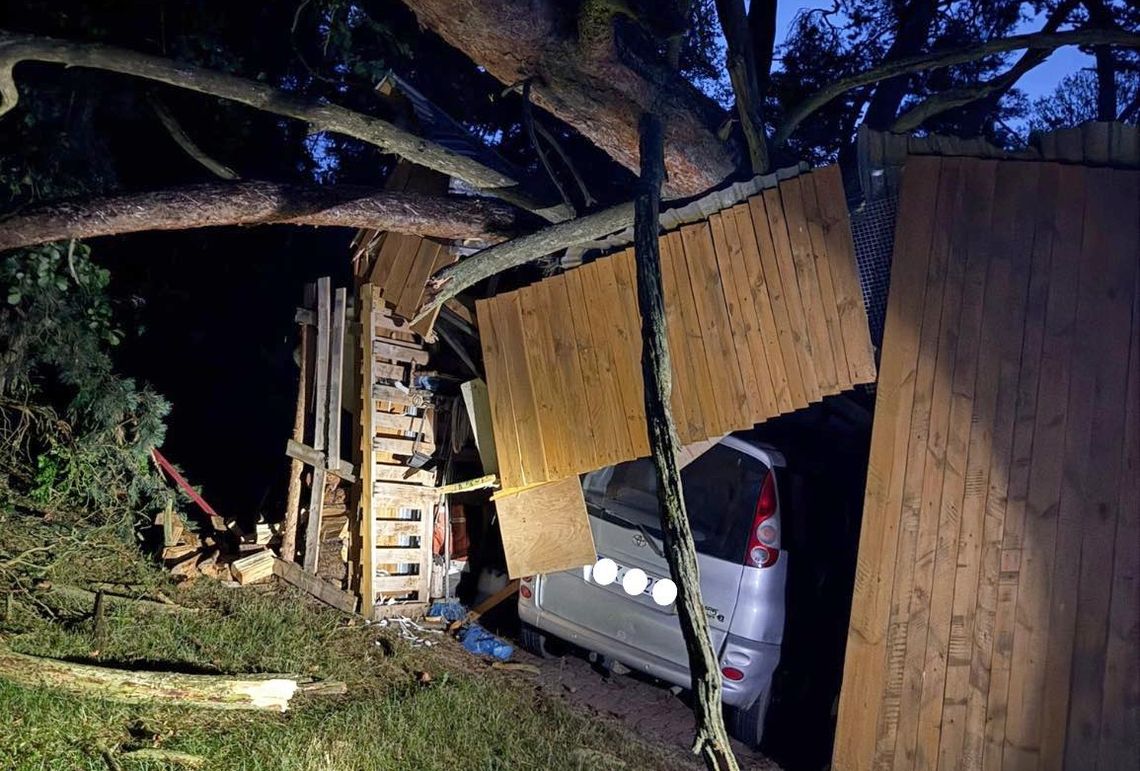 Silny wiatr powalił drzewo na garaż