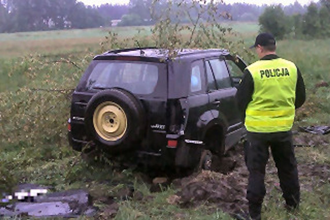 Skardziona terenówka ukryta na łące