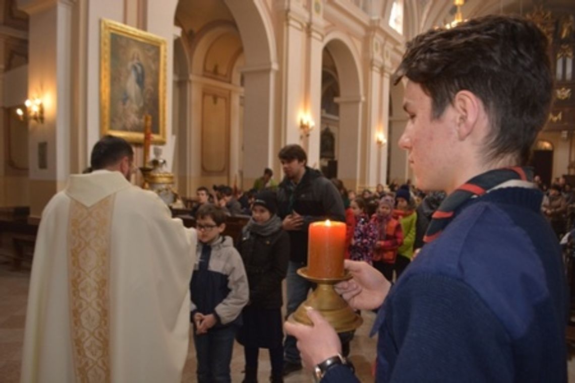 Skauci spotkali się w Żelechowie