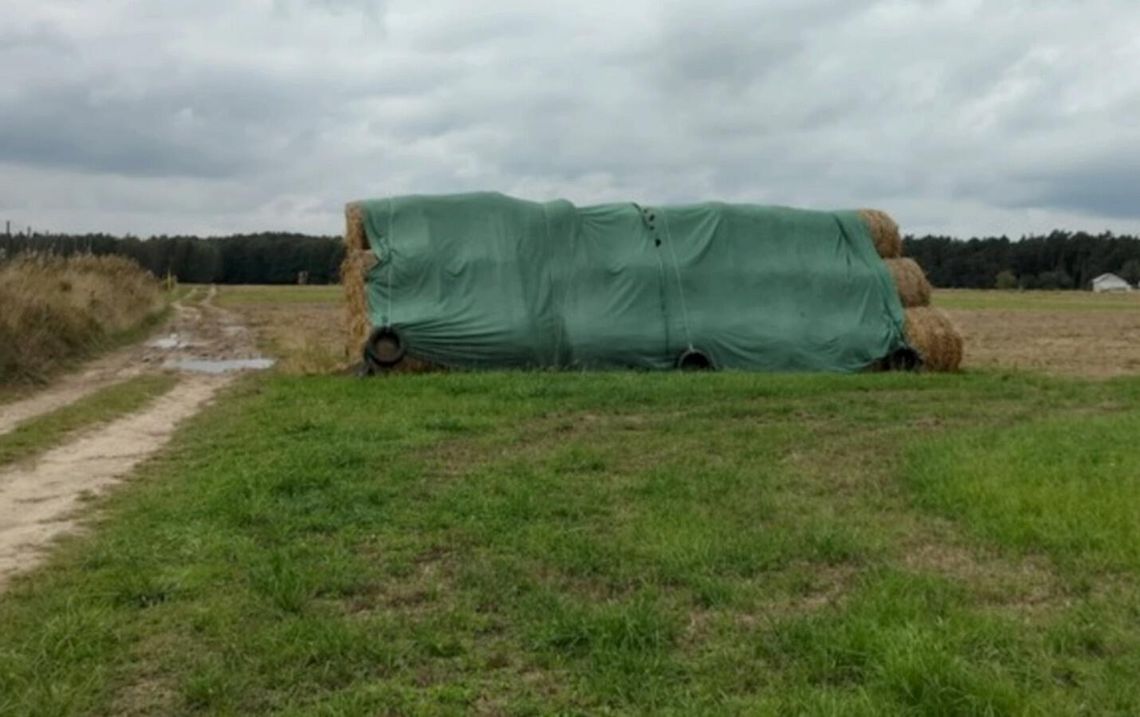 Słoma zamiast koca. Policjanci nie pozwolili, by noc spędził na polu Słoma zamiast koca. Policjanci nie pozwolili, by noc spędził na polu