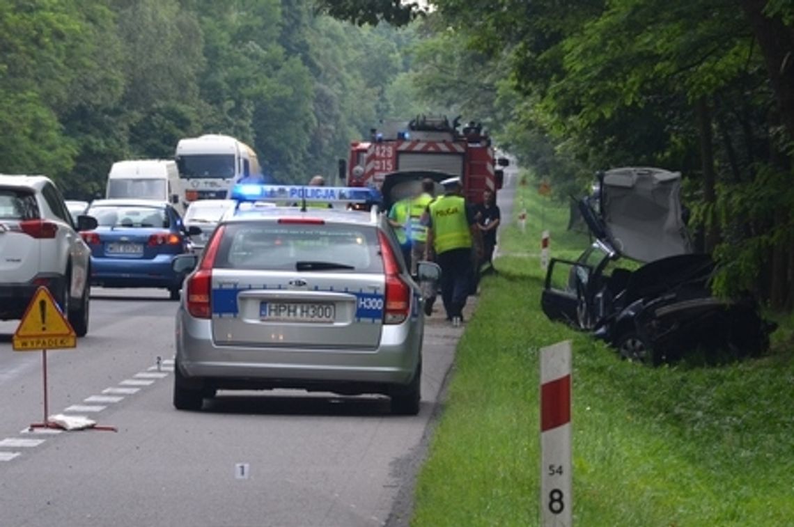 Śmiertelny wypadek w Potasznikach