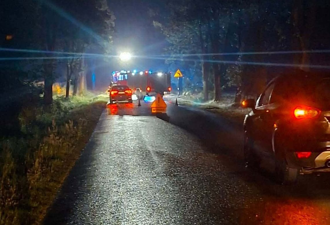 Straciła panowanie nad autem i uderzyła w drzewo