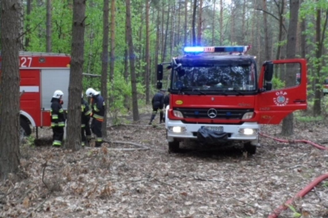 Strażacy sprawdzali się na wypadek pożaru lasu