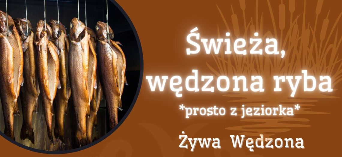 Świeże ryby wędzone i żywe – wyjątkowy smak i jakość