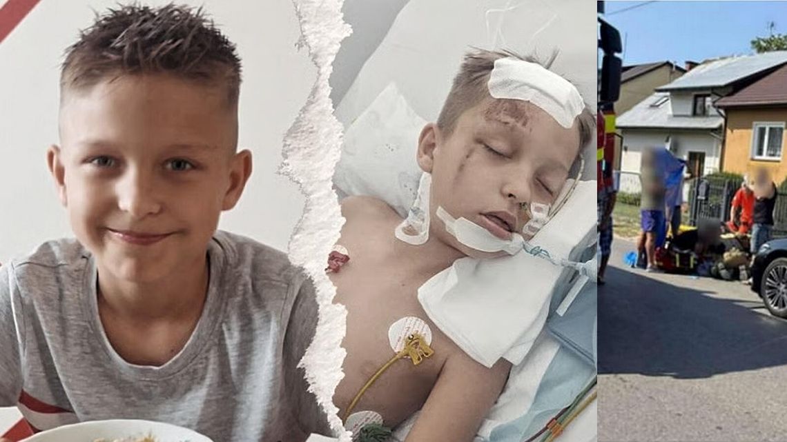 Trwa zbiórka dla Franka potrąconego przez samochód Trwa zbiórka dla Franka potrąconego przez samochód