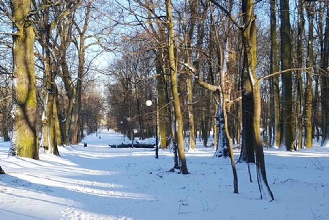 W Miętnem na biegówkach