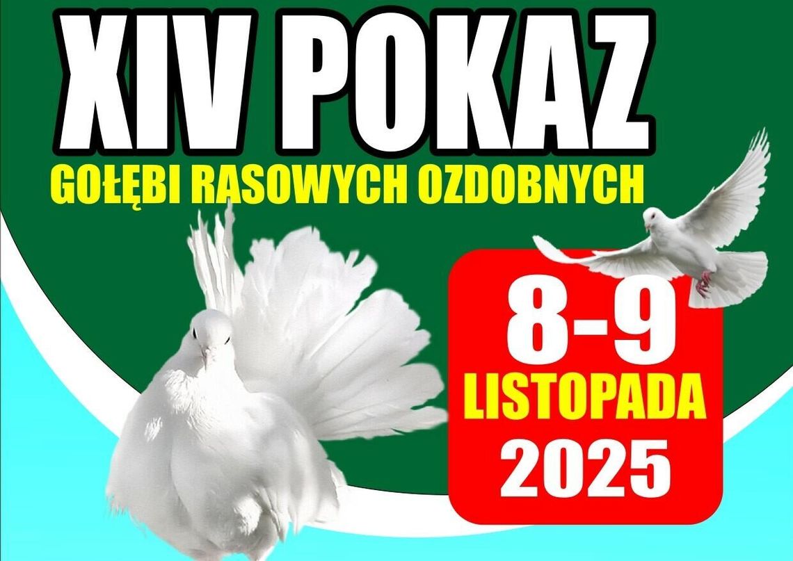 W weekend wystawa gołębi