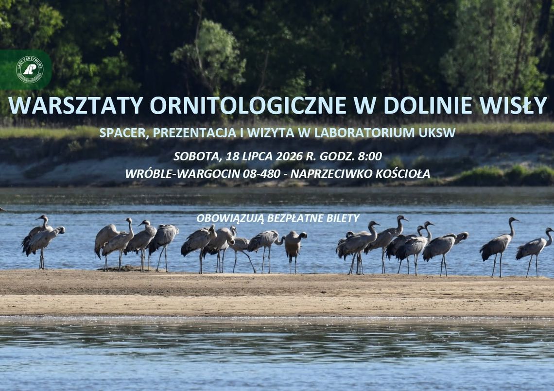 Warsztaty ornitologiczne nad Wisłą. Uczestnicy zajrzą także do laboratorium naukowców Warsztaty ornitologiczne nad Wisłą. Uczestnicy zajrzą także do laboratorium naukowców