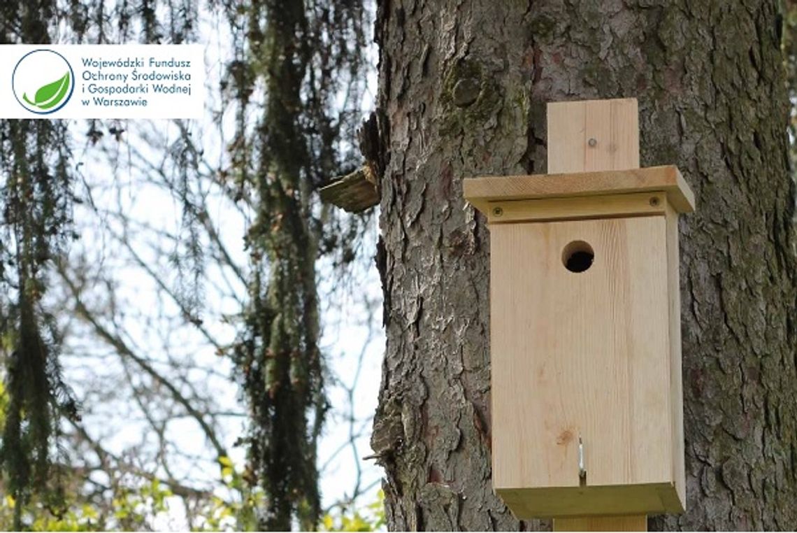 Warsztaty z sokołem w powiecie garwolińskim