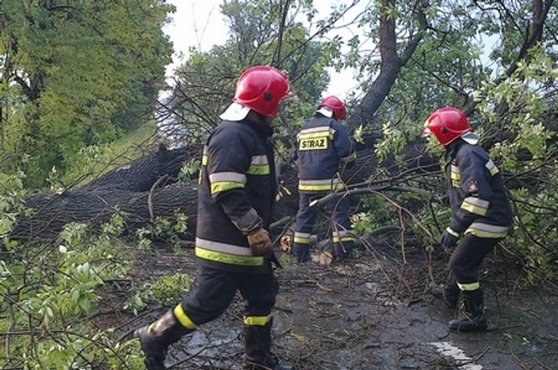 Wiało mocno także w powiecie