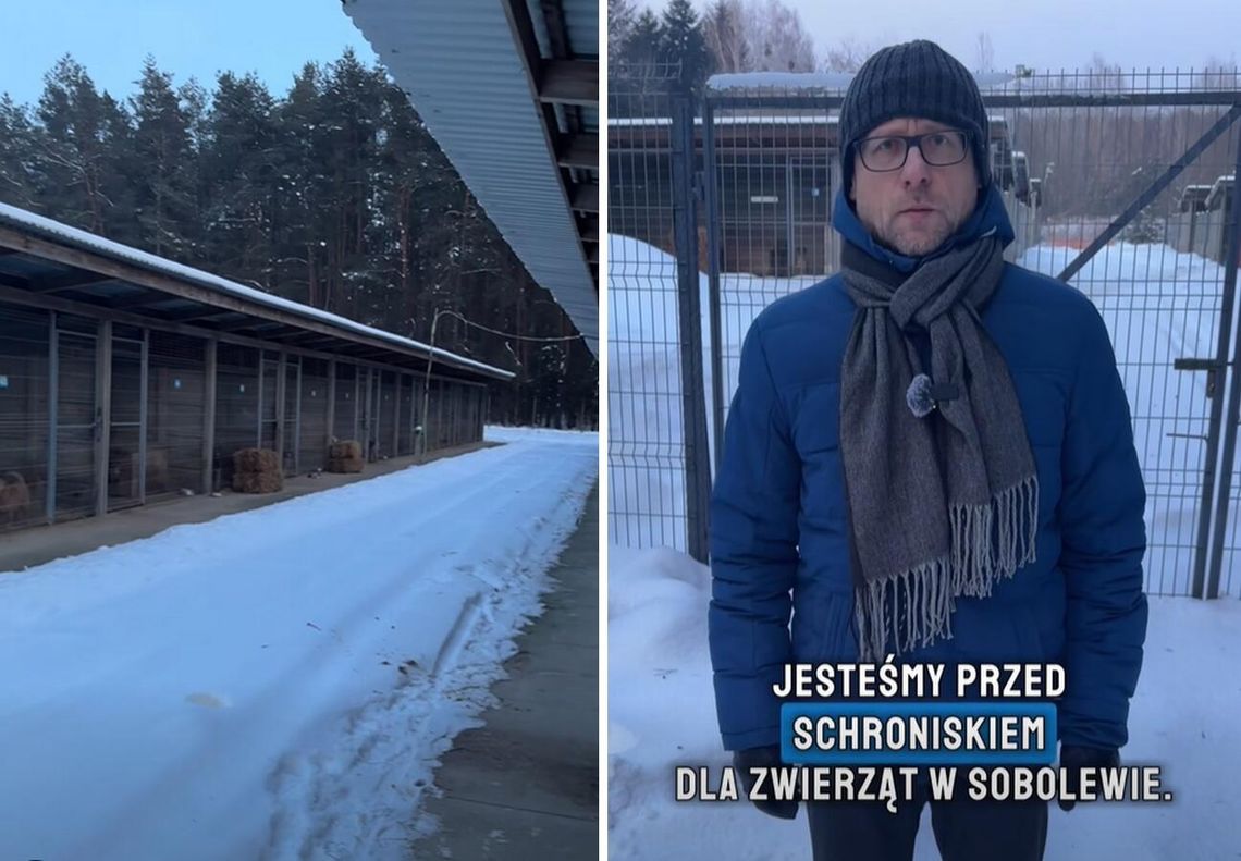 Wicewojewoda mazowiecki przyznaje się do błędu ws. schroniska w Sobolewie