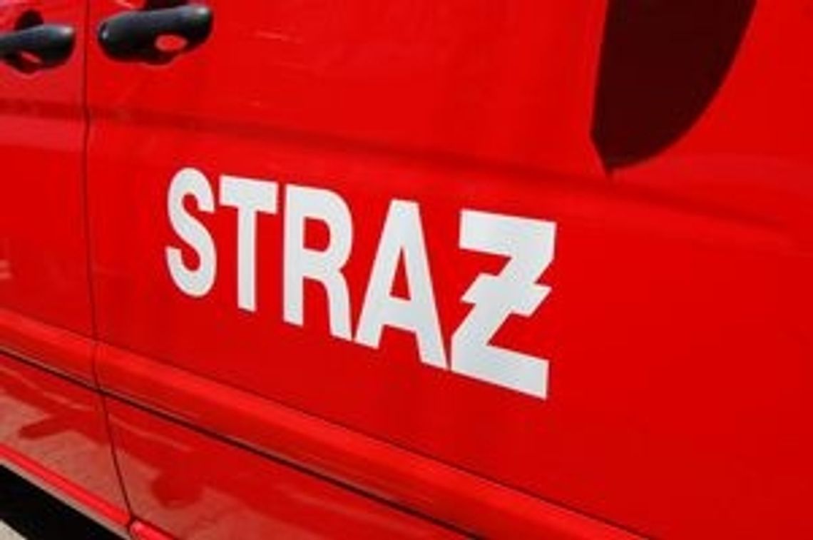 Wilga: 150 tys. zł strat po pożarze letniska