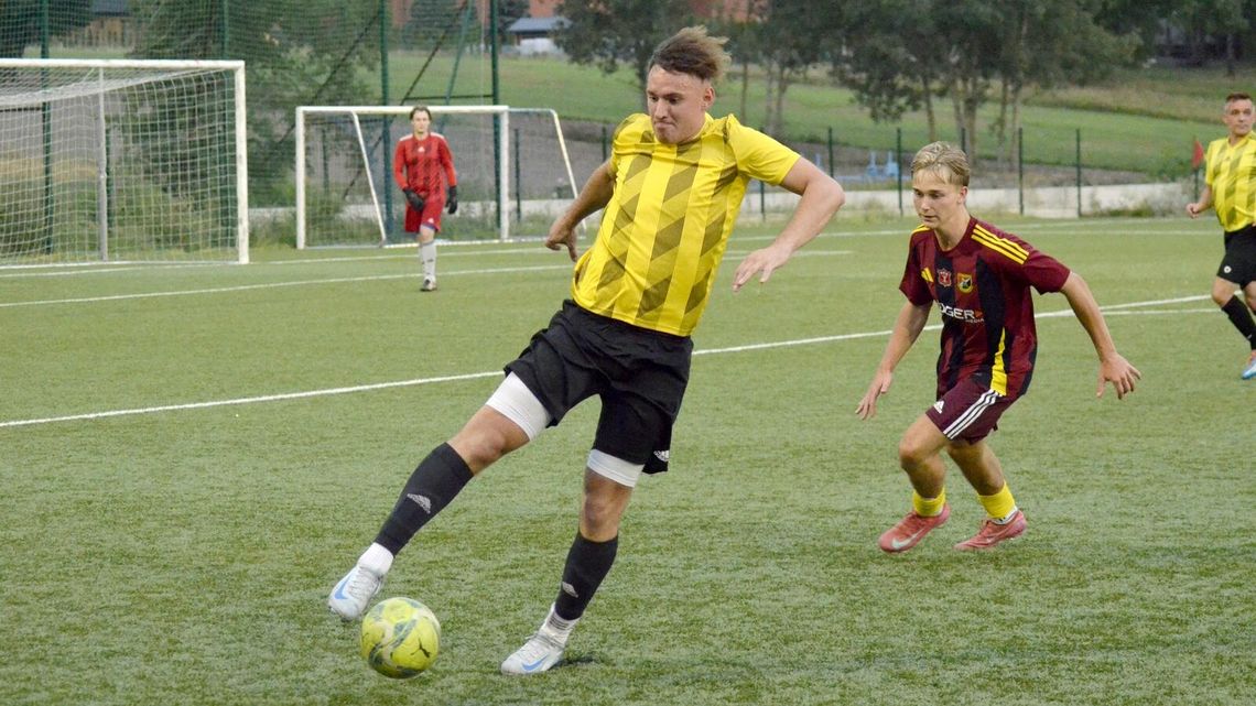 Wilk odpada, Wilga II gra dalej