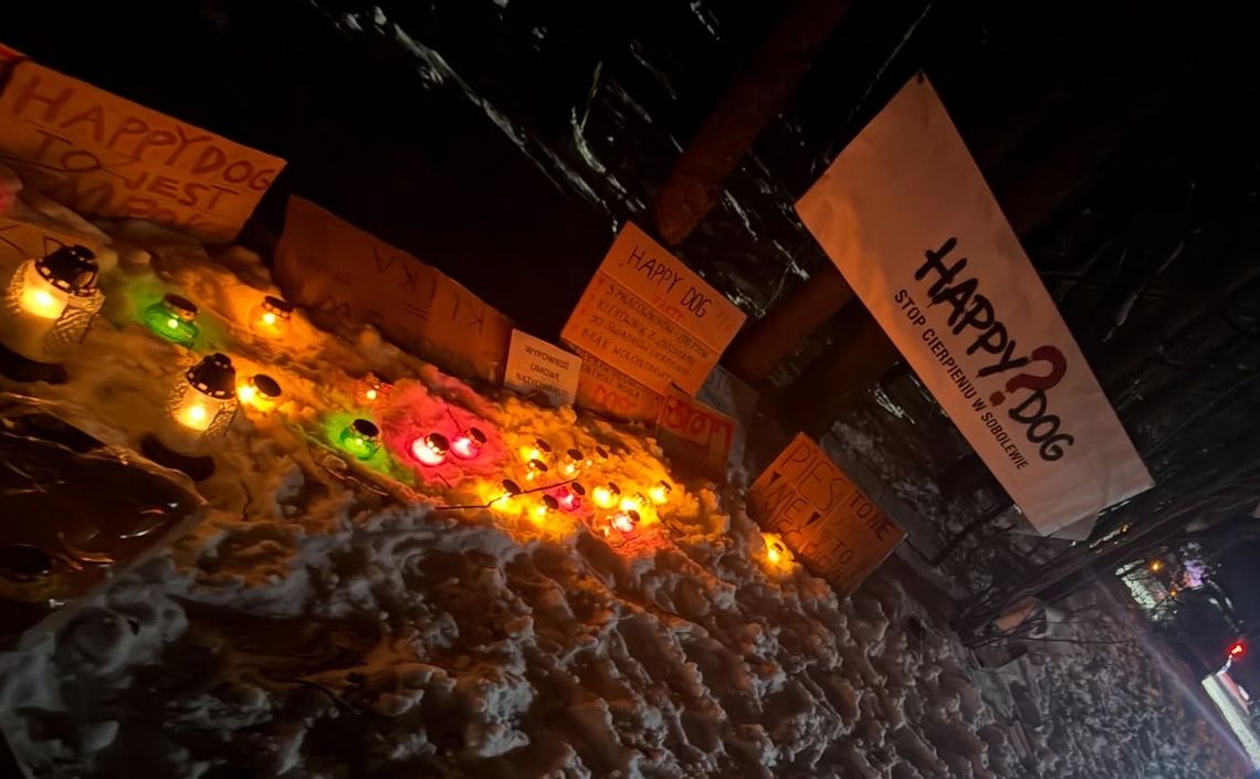 Wojewoda zażąda wyjaśnień od PIW w Garwolinie po zamknięciu schroniska w Sobolewie Wojewoda zażąda wyjaśnień od PIW w Garwolinie po zamknięciu schroniska w Sobolewie