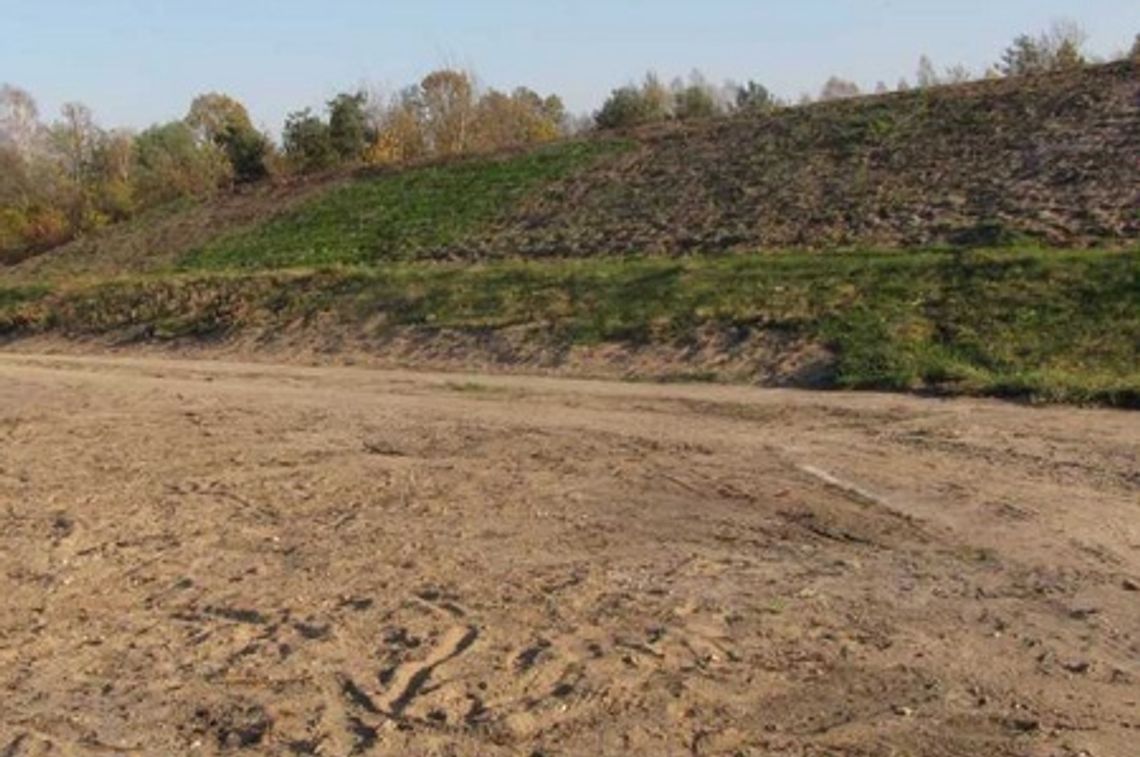 Wyjątkowy proekologiczny pomysł gminy Borowie