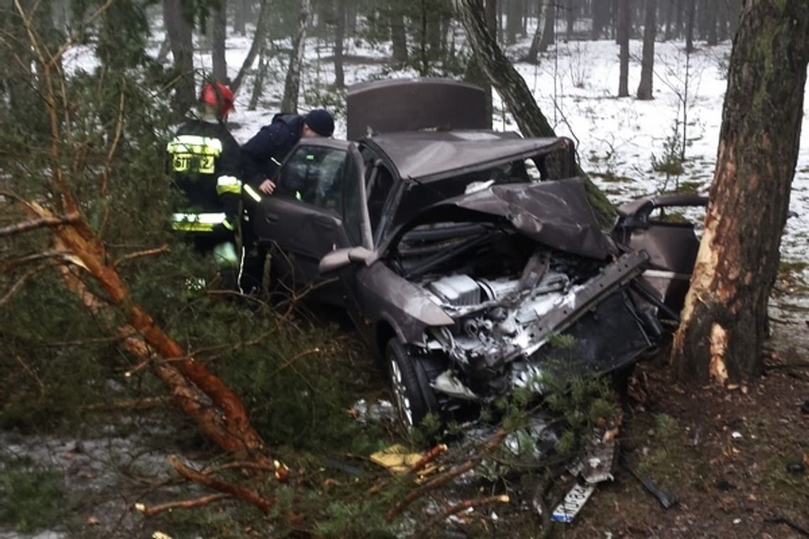 Wyleciał z nadwiślanki i ściął drzewo