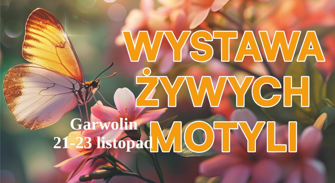 Wystawa żywych motyli