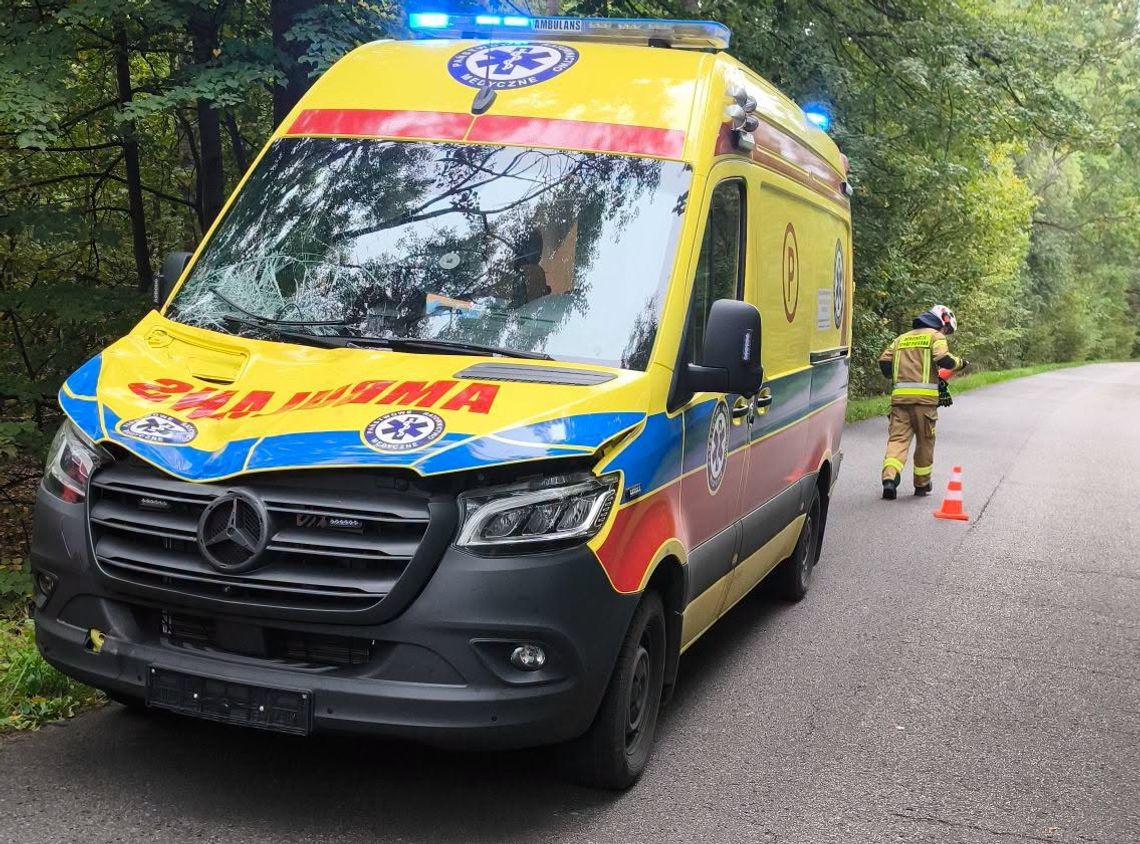 Zderzenie ambulansu z łosiem. Zwierzę nie przeżyło Zderzenie ambulansu z łosiem. Zwierzę nie przeżyło
