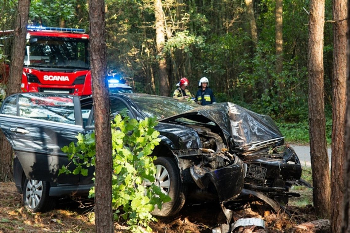 Zjechał z drogi i ściął drzewa