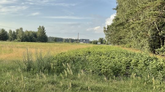 Malownicze działki budowlane w Górznie