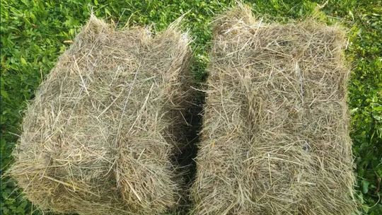 Sprzedam siano, słomę, owies