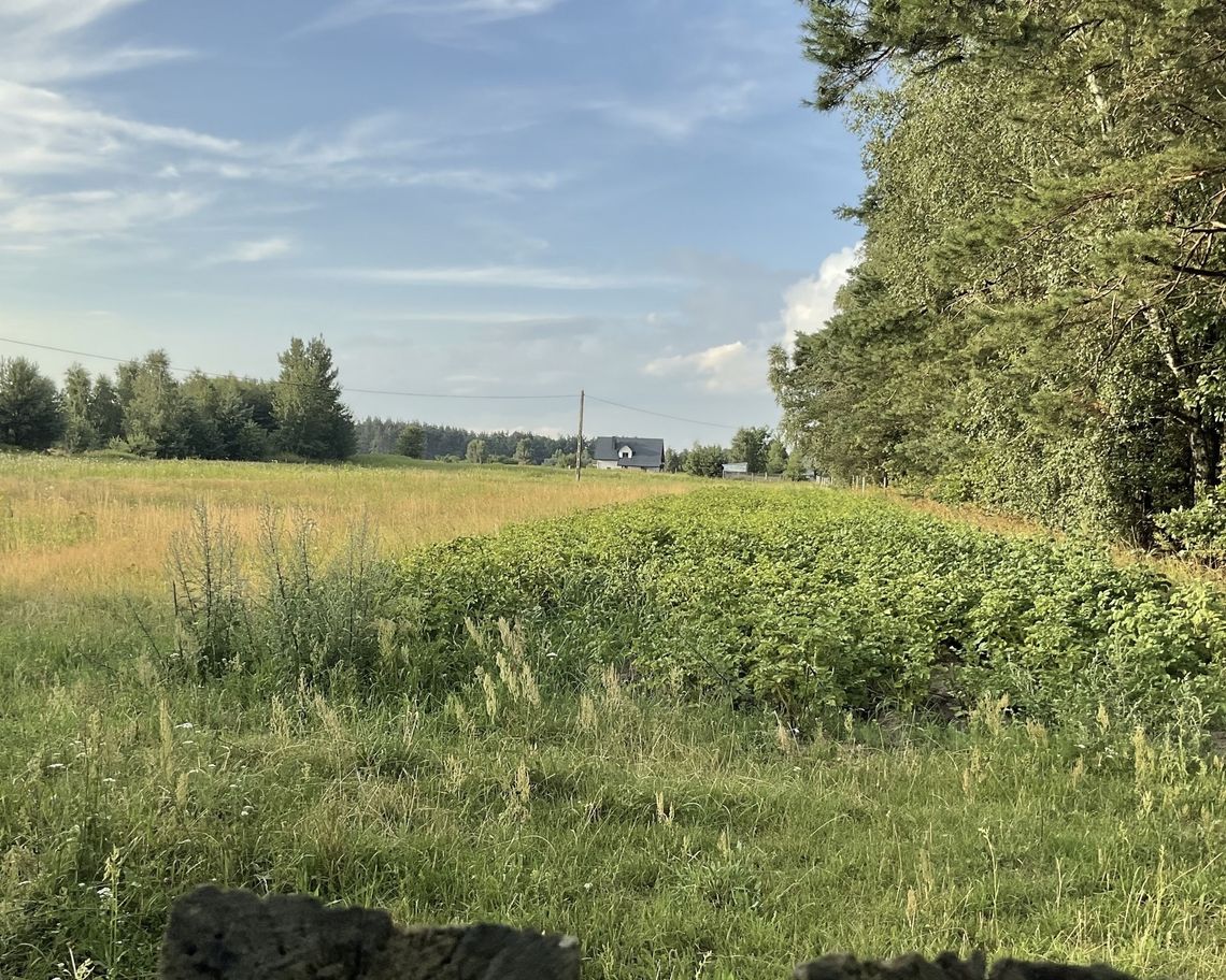 Malownicze działki budowlane w Górznie