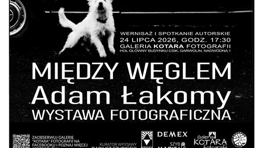 Między węglem