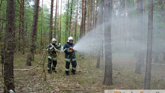 Pożar lasów w Wildze