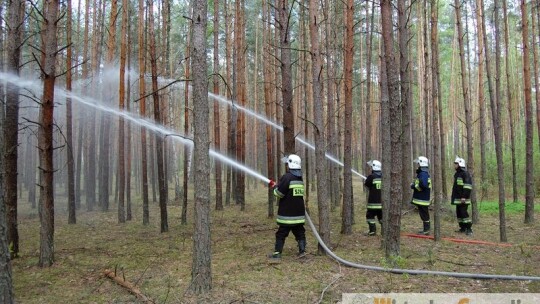 Pożar lasów w Wildze