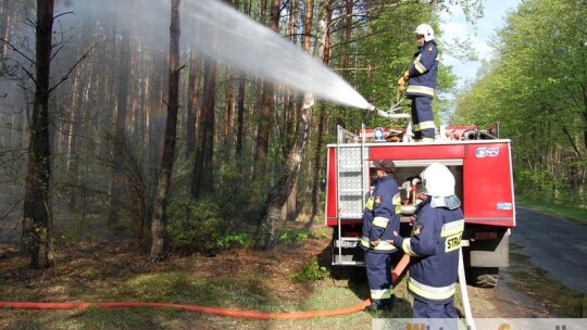 Pożar lasów w Wildze