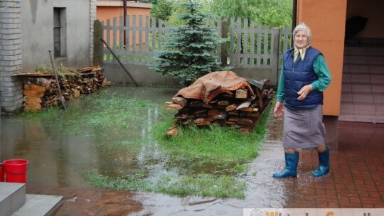 Pilawa pod wodą